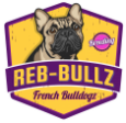 French Bulldogs In Ohio